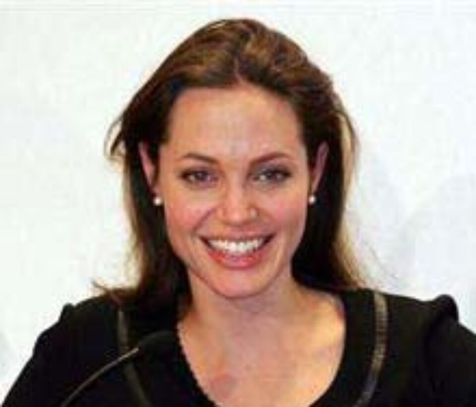 Angelina Jolie și Brad Pitt au petrecut Ziua Îndrăgostiților la Viena