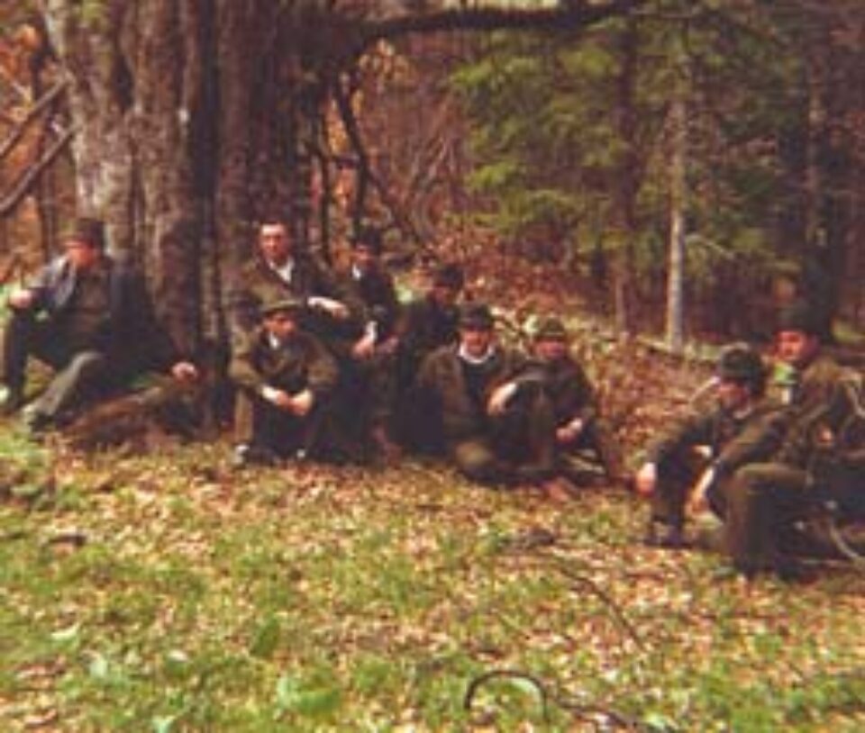 Jumătate din angajații Direcției Silvice Suceava riscă să devină șomeri Jumătate din angajații Direcției Silvice Suceava riscă să devină șomeri