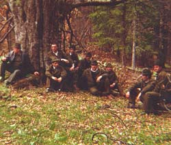 Jumătate din angajații Direcției Silvice Suceava riscă să devină șomeri