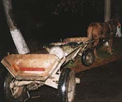 Căruțașii de pe drumurile naționale, amendați de polițiști