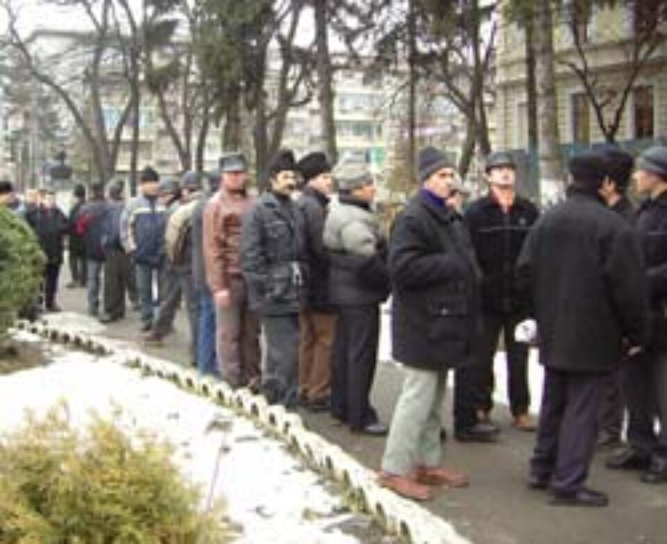 Sticlarii de la Stipo Dorohoi au luat cu „asalt” Curtea de Apel Suceava