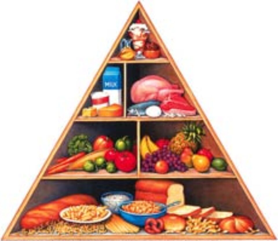 Dieta “americană” - piramida nutrițională