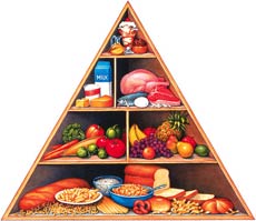Dieta “americană” - piramida nutrițională