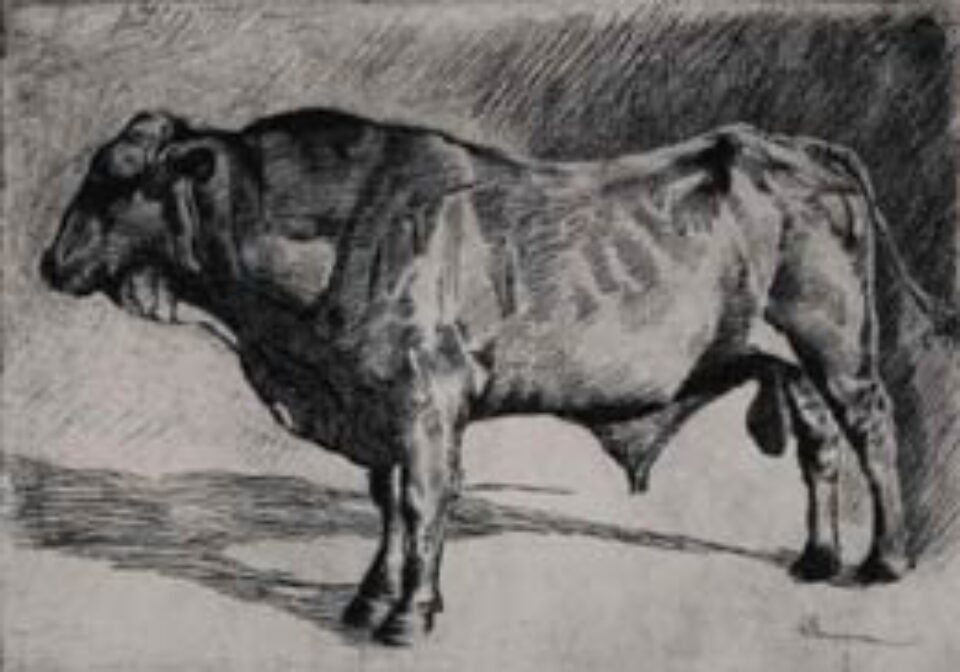 Din presa de altadata