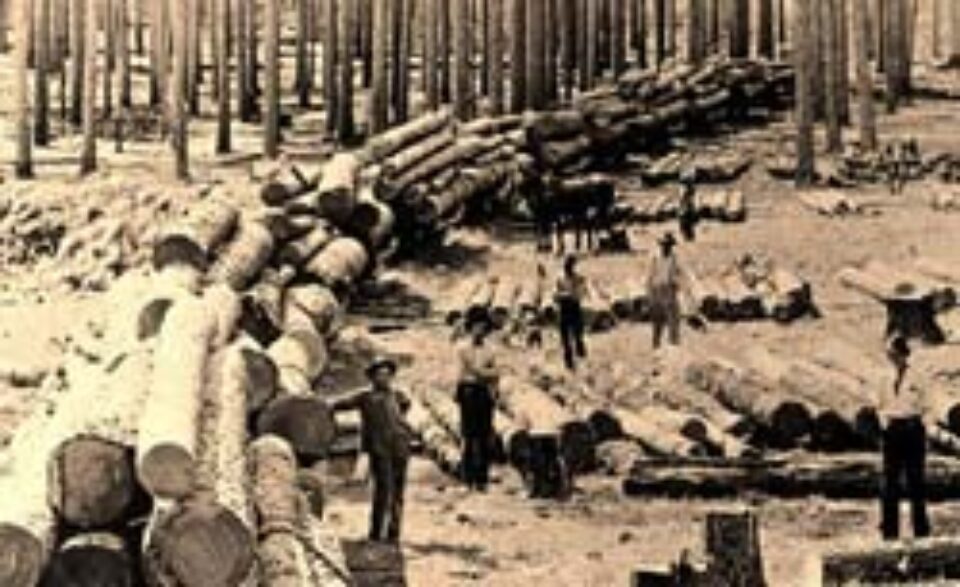 Din presa de altadata Din presa de altadata