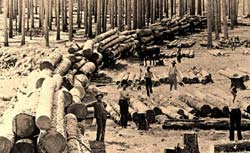 Din presa de altadata