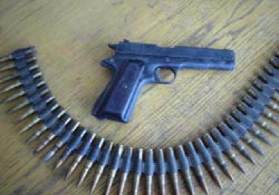 Sucevenii au prins gustul armelor de foc