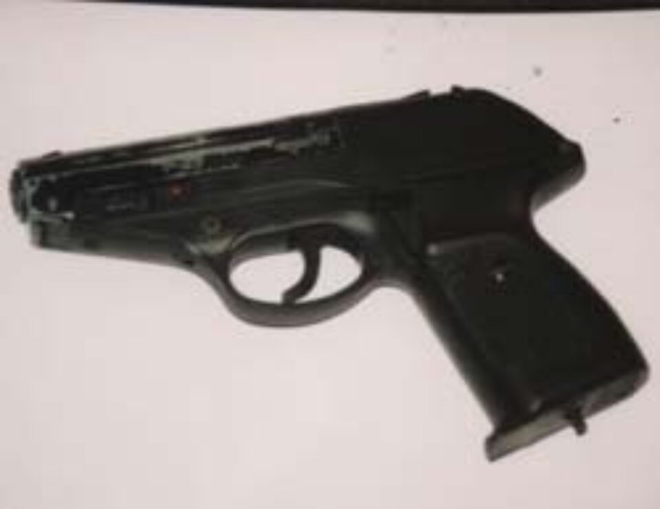 Sucevenii au prins gustul armelor de foc