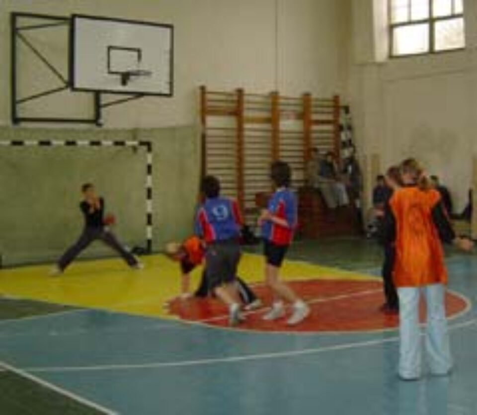 Final de săptămână încărcat pentru sportivii din școlile sucevene Final de săptămână încărcat pentru sportivii din școlile sucevene