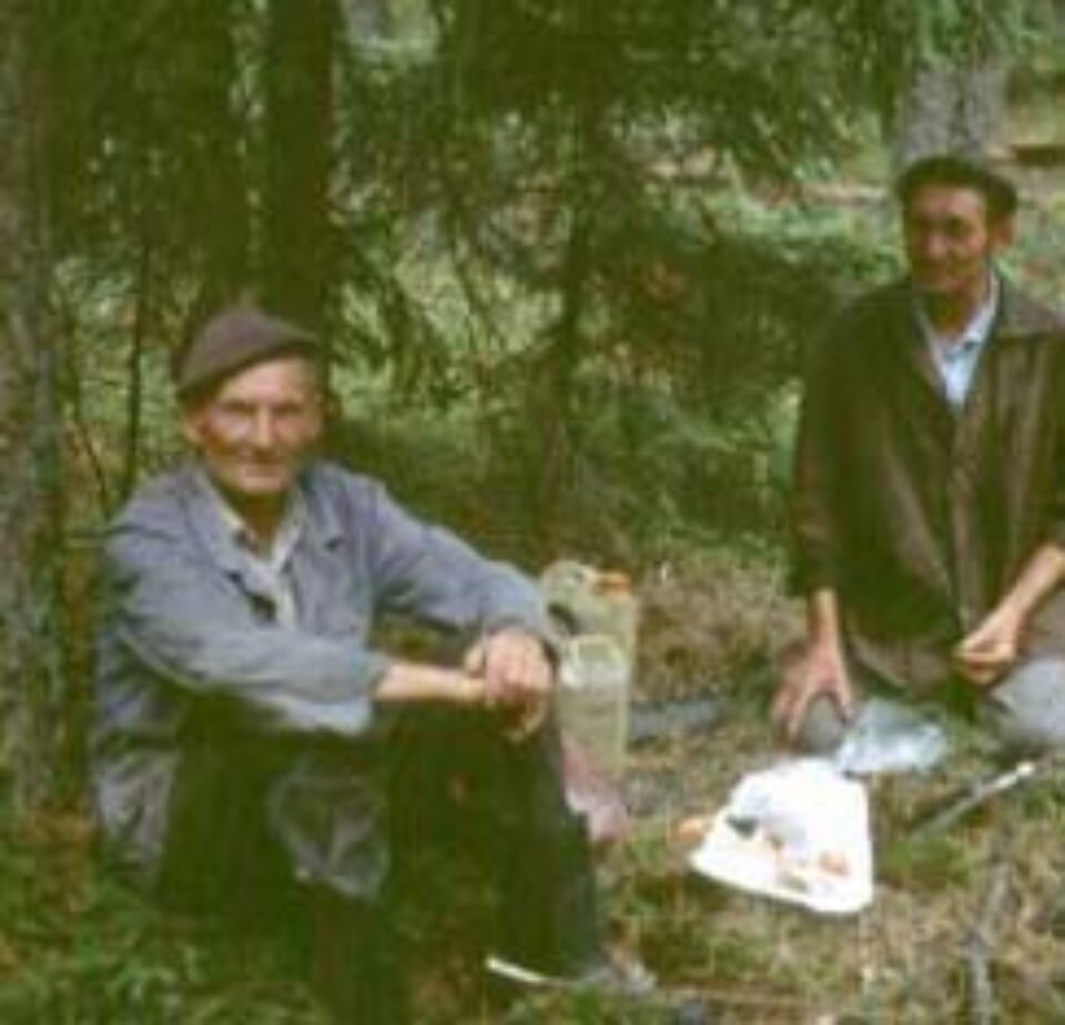 Din presa de altadata Din presa de altadata