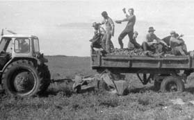 Din presa de altadata