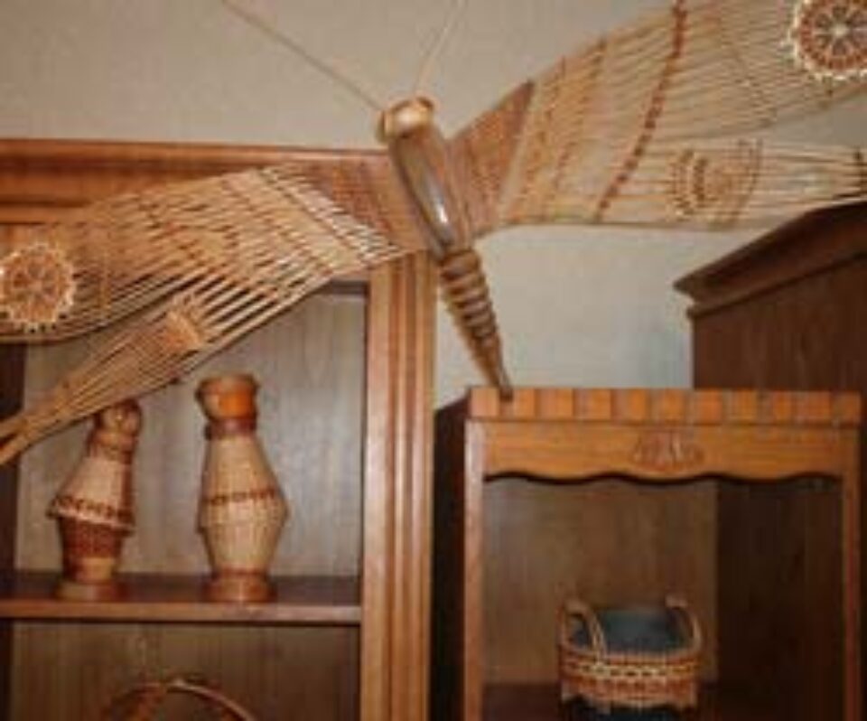 Fluturi împletiţi din nuiele de lozie Fluturi împletiţi din nuiele de lozie