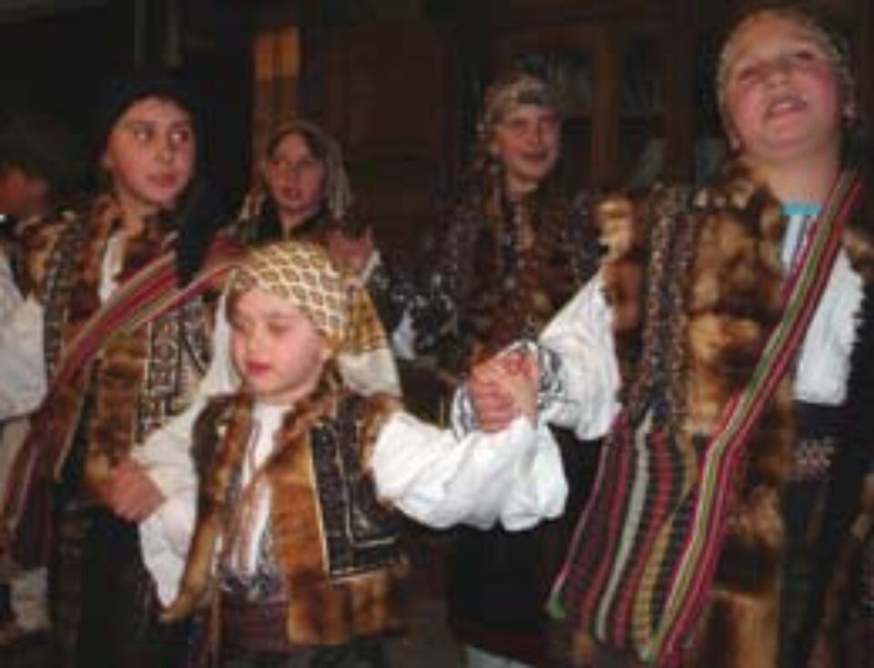 - „Gâzele” din Ocolul Câmpulungului