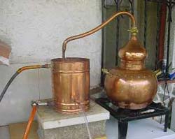 Din presa de altadata