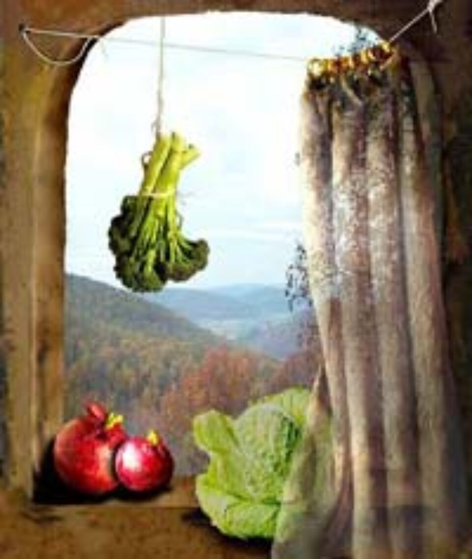 Enzime anticancer Enzime anticancer