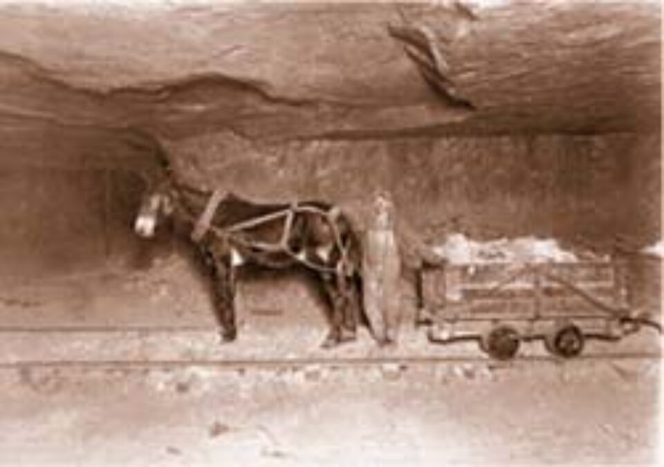 Din presa de altadata Din presa de altadata