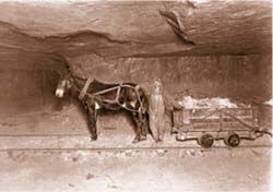 Din presa de altadata