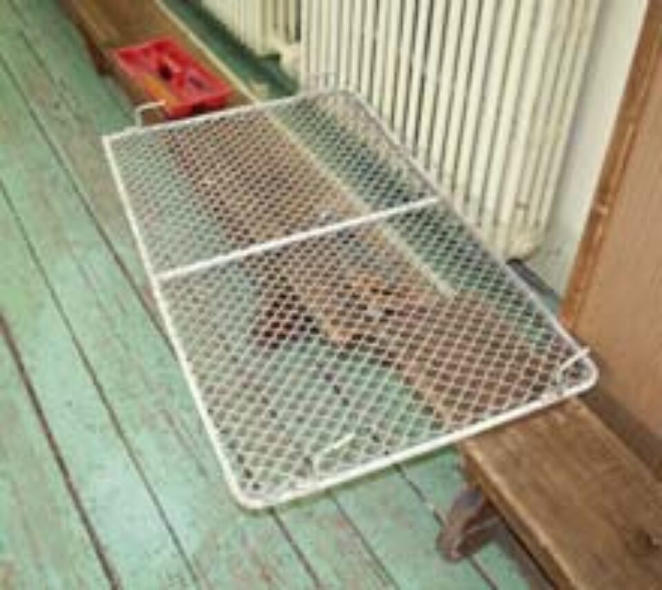 Elev paralizat la ora de sport