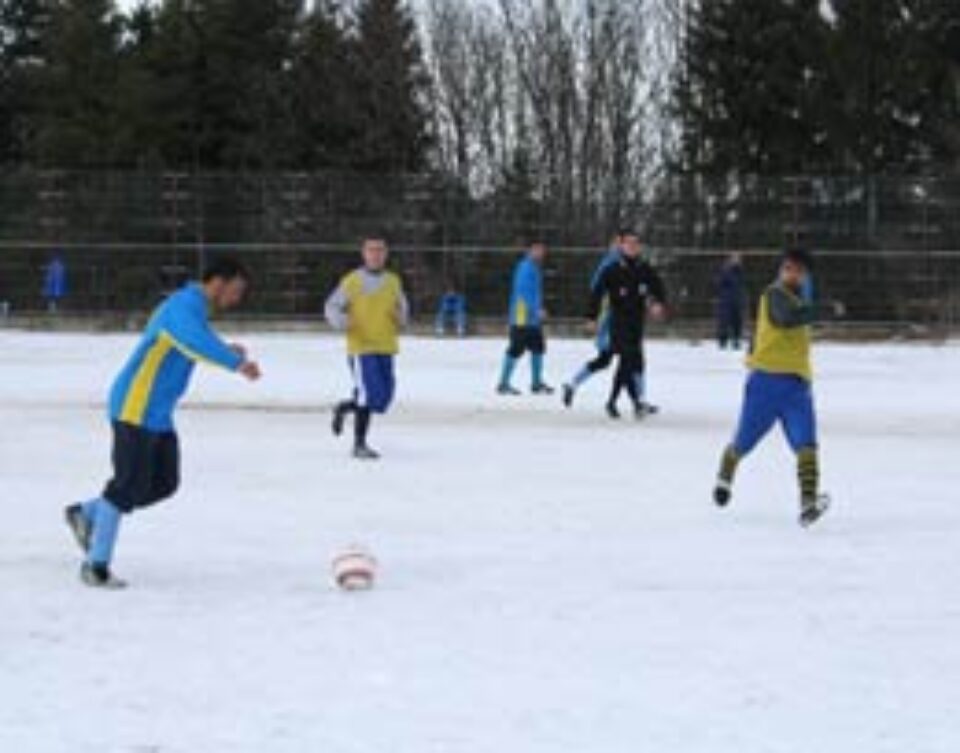 Amical de reparații cu FC Botoșani Amical de reparații cu FC Botoșani