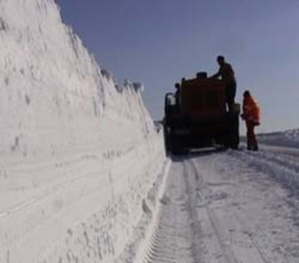 Prizonierii troienelor