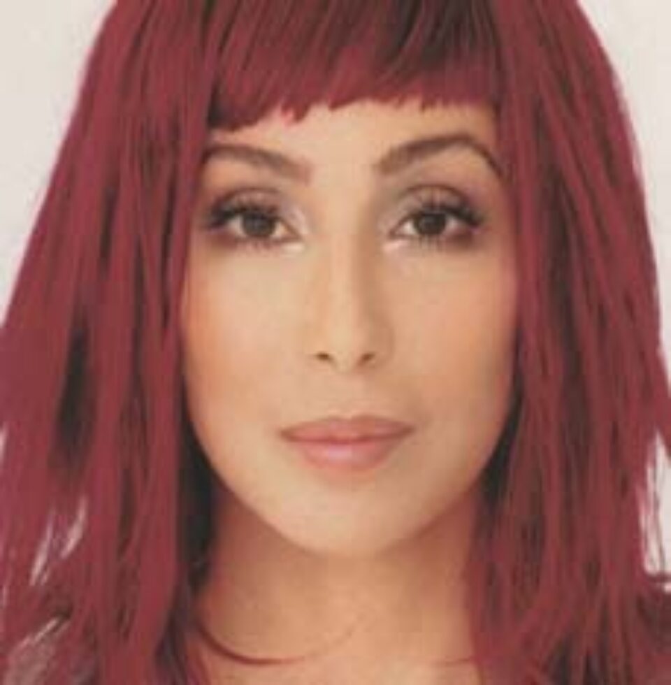 Chirurgia estetică și-a ales zeițele: Demi Moore și Cher - creații ale "bisturiului magic"