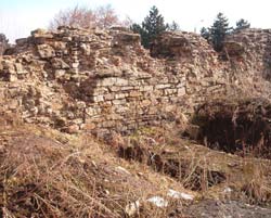 Curtea Domnească din Suceava ar putea deveni primul parc arheologic din România