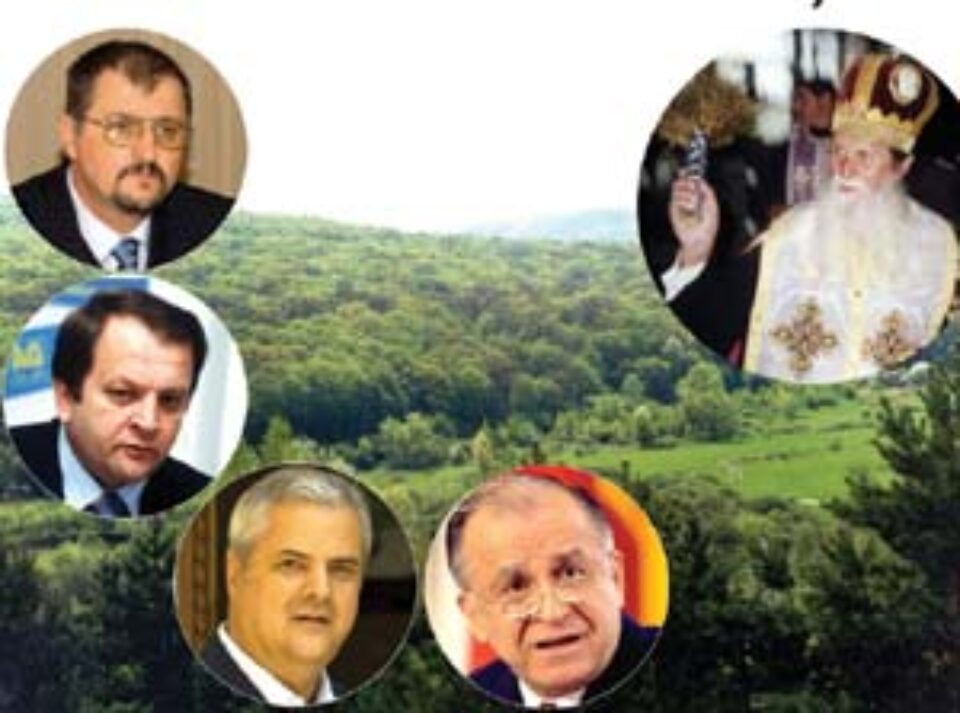 Pădurea blestemaților Pădurea blestemaților