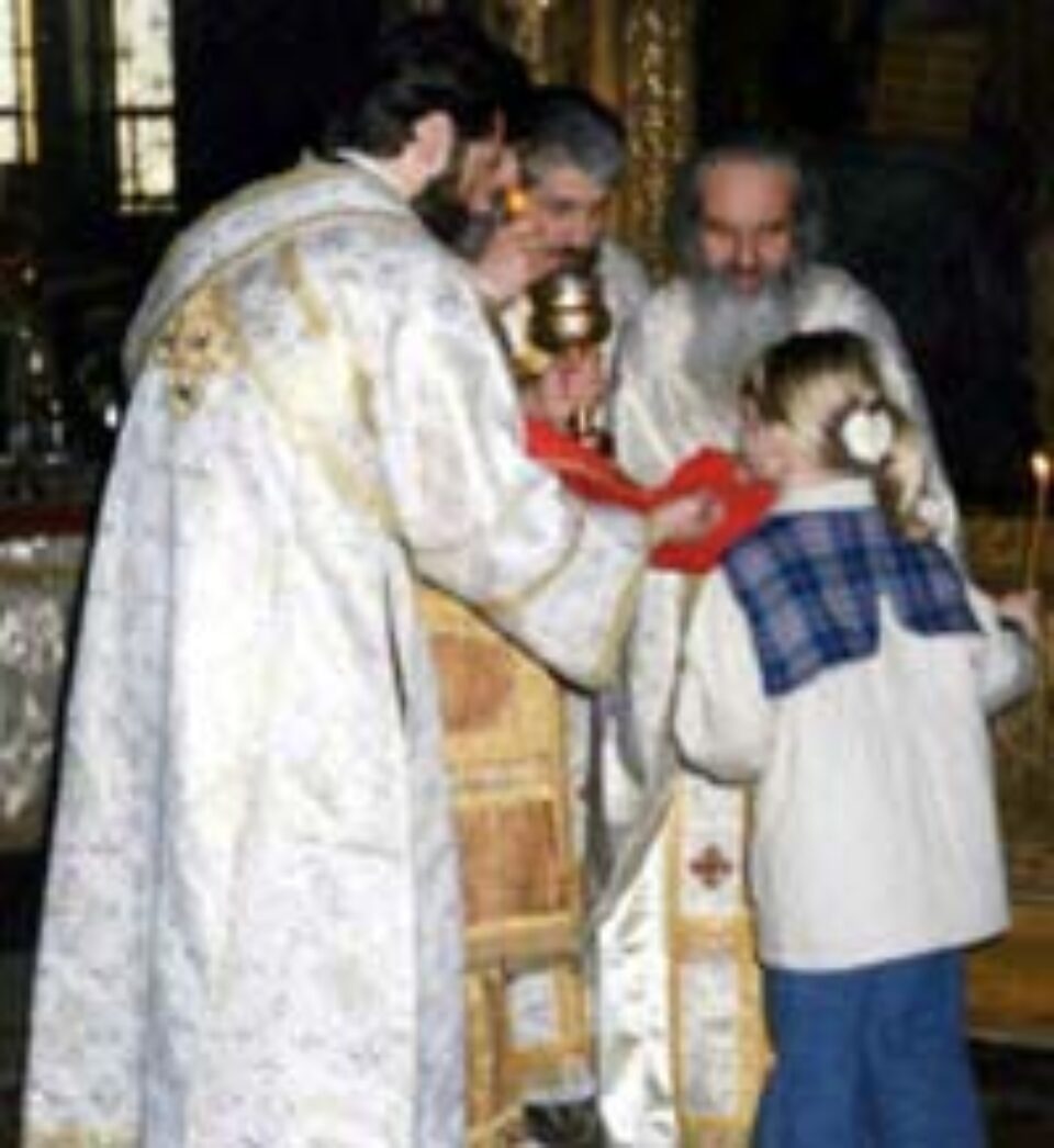 Desfrânații nu vor moșteni împărăția lui Dumnezeu iar lenea se tămăduiește prin muncă