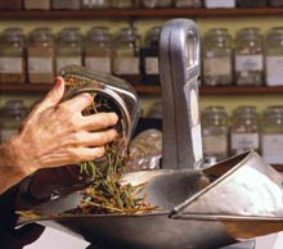 Pinul - Antiseptic, cicatrizant și calmant