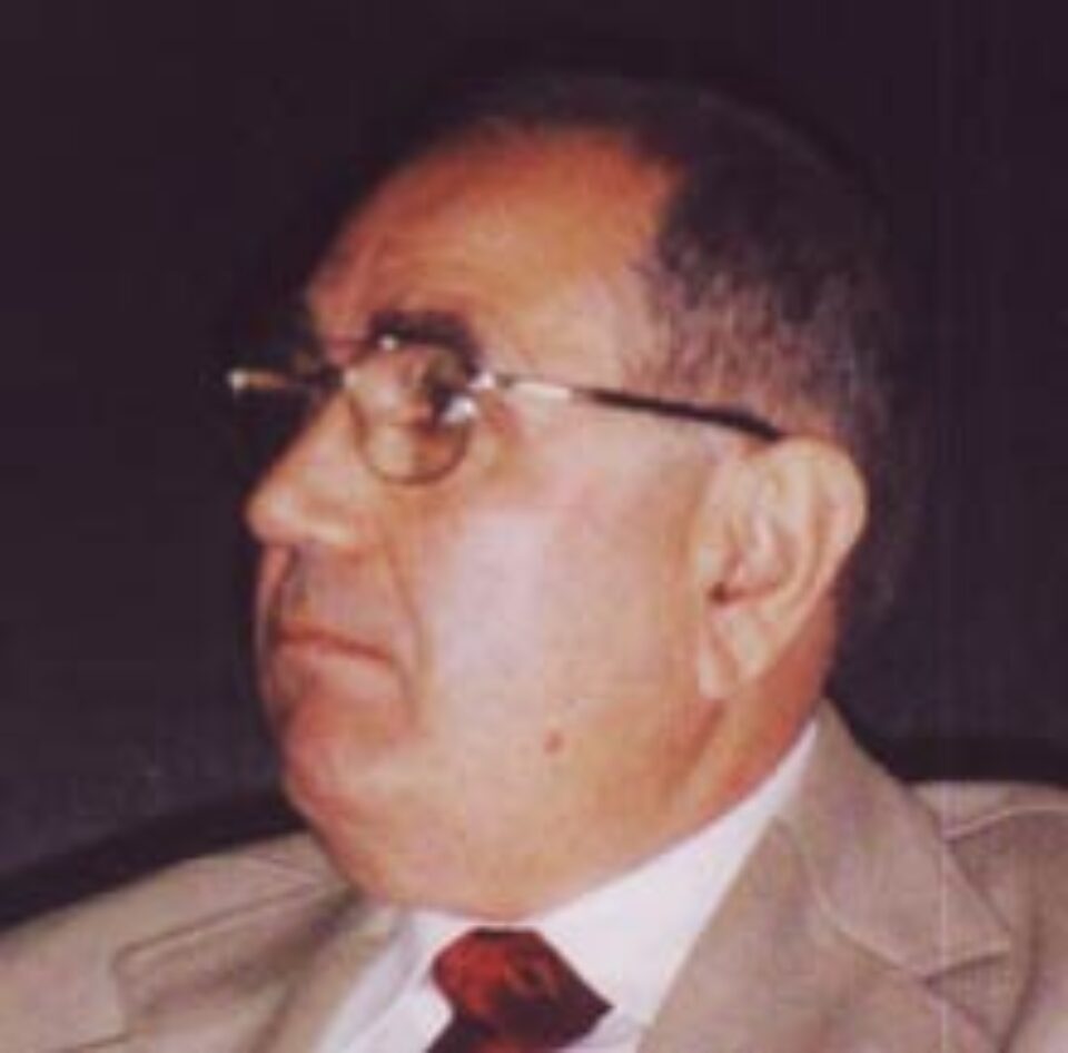 Cine stabilește normele limbii ?