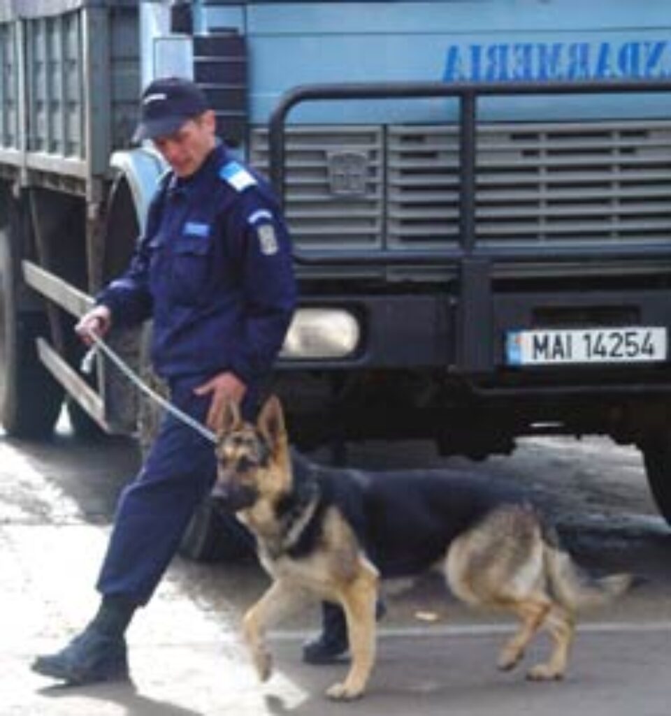 Droguri pentru câinele Jandarmeriei Suceava