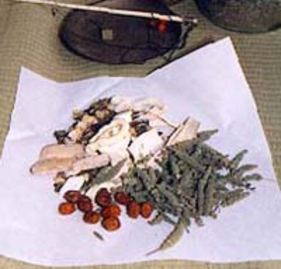 TRATAMENT NATURIST PENTRU HEPATITA C TRATAMENT NATURIST PENTRU HEPATITA C