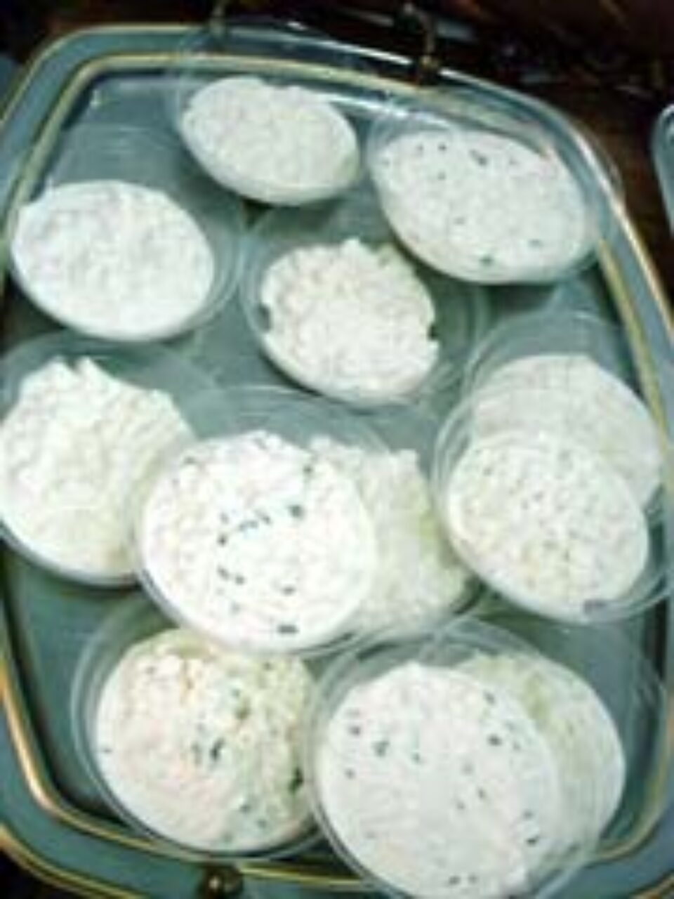 Brânza - "mană cerească" pentru viața sexuală