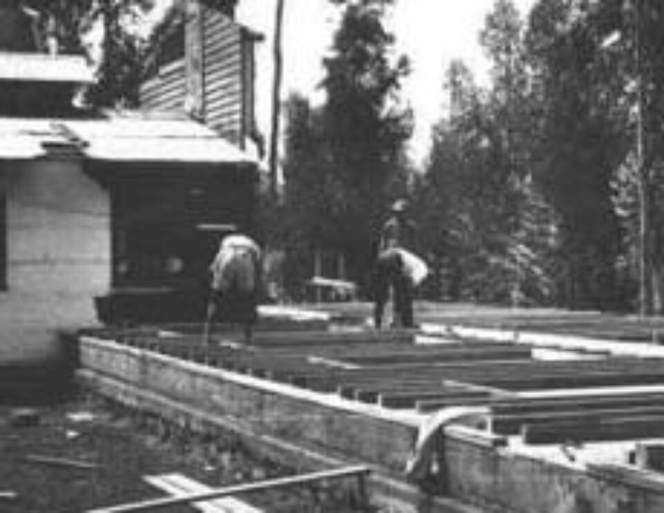 Din presa de altadata