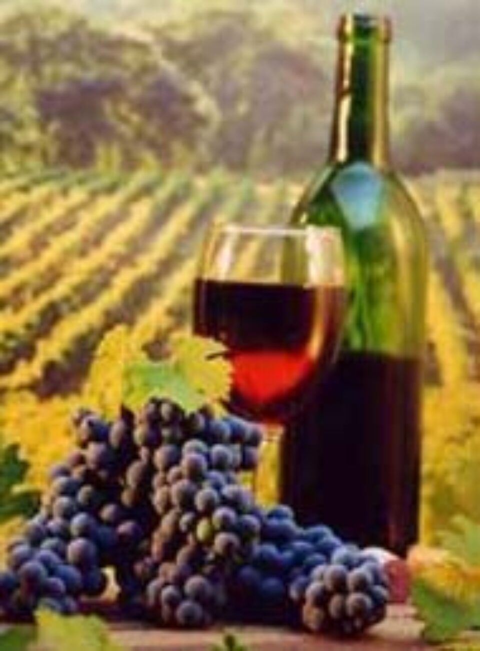 Vinul - o afacere mereu la modă
