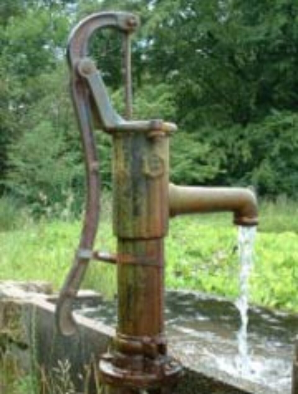 Taxă pe apa din grădină