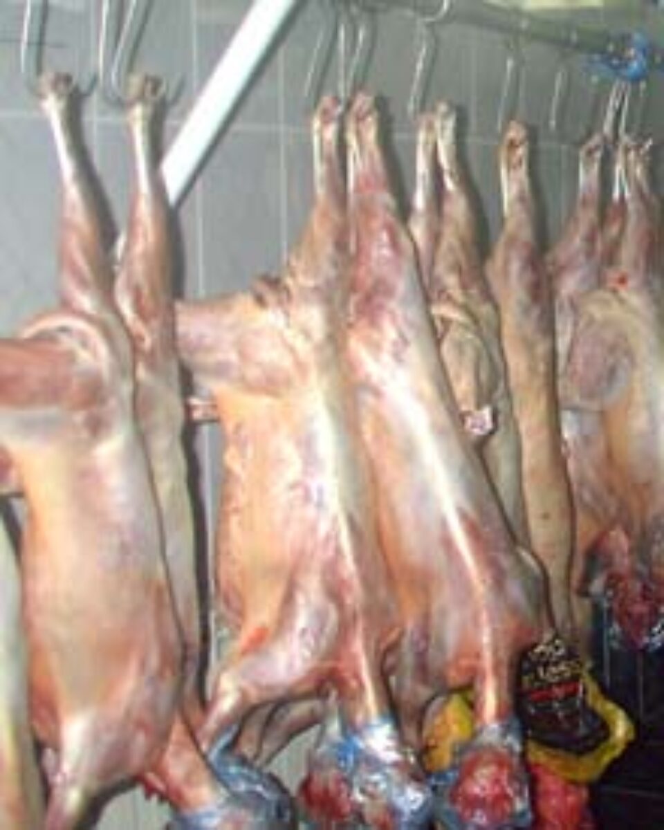 Prețuri de până la 150.000 de lei pentru carnea de miel în perioada Paștelui Prețuri de până la 150.000 de lei pentru carnea de miel în perioada Paștelui