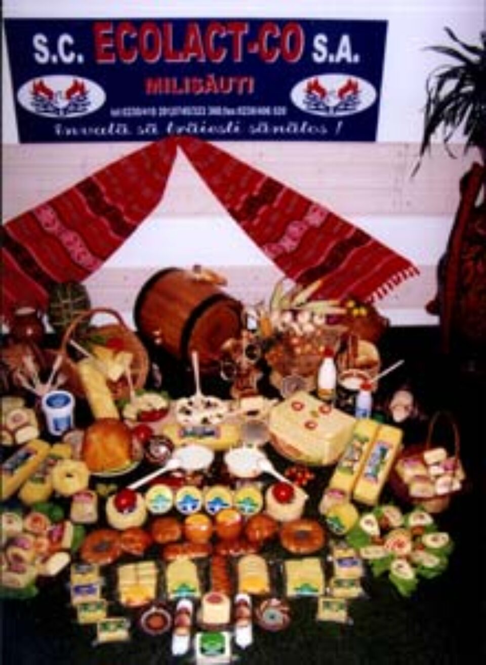 ECOLACT Milișăuți bagă 4 milioane de euro în modernizări ECOLACT Milișăuți bagă 4 milioane de euro în modernizări