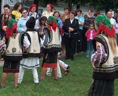 Dijn presa de altadata