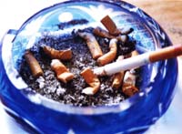 Taxa pe viciu devine operațională în cel mult o lună