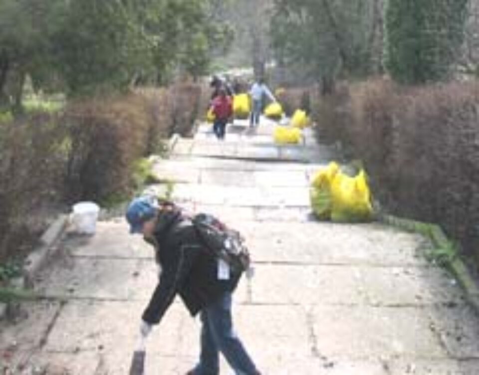 Aproape 30 de tone de gunoi au fost adunate ieri din Parcul Cetății