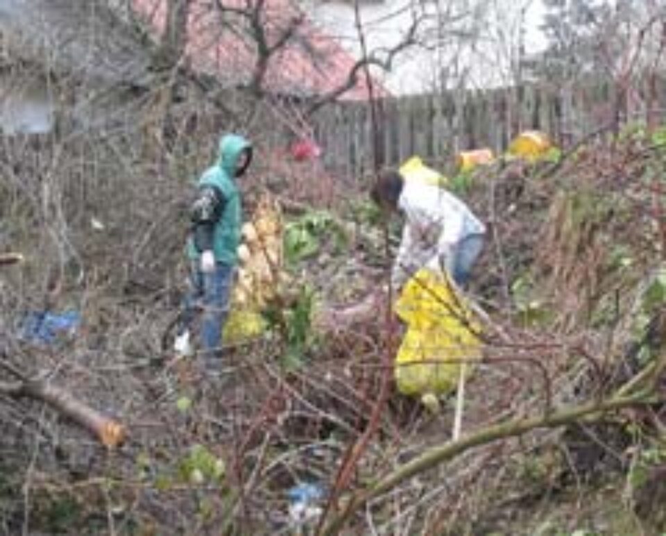 Aproape 30 de tone de gunoi au fost adunate ieri din Parcul Cetății Aproape 30 de tone de gunoi au fost adunate ieri din Parcul Cetății