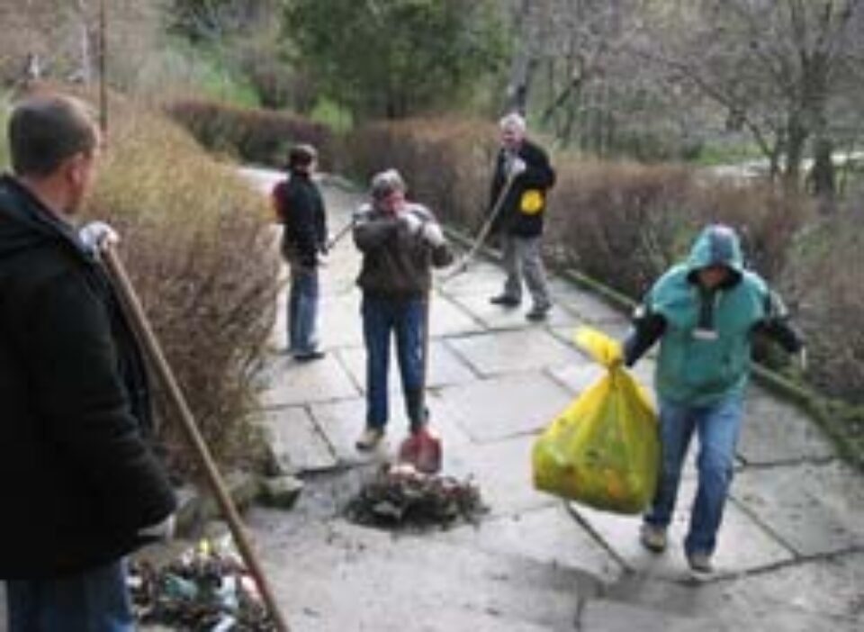 20 de saci de gunoi, adunați în mai puțin de două ore din Parcul Șipote 20 de saci de gunoi, adunați în mai puțin de două ore din Parcul Șipote