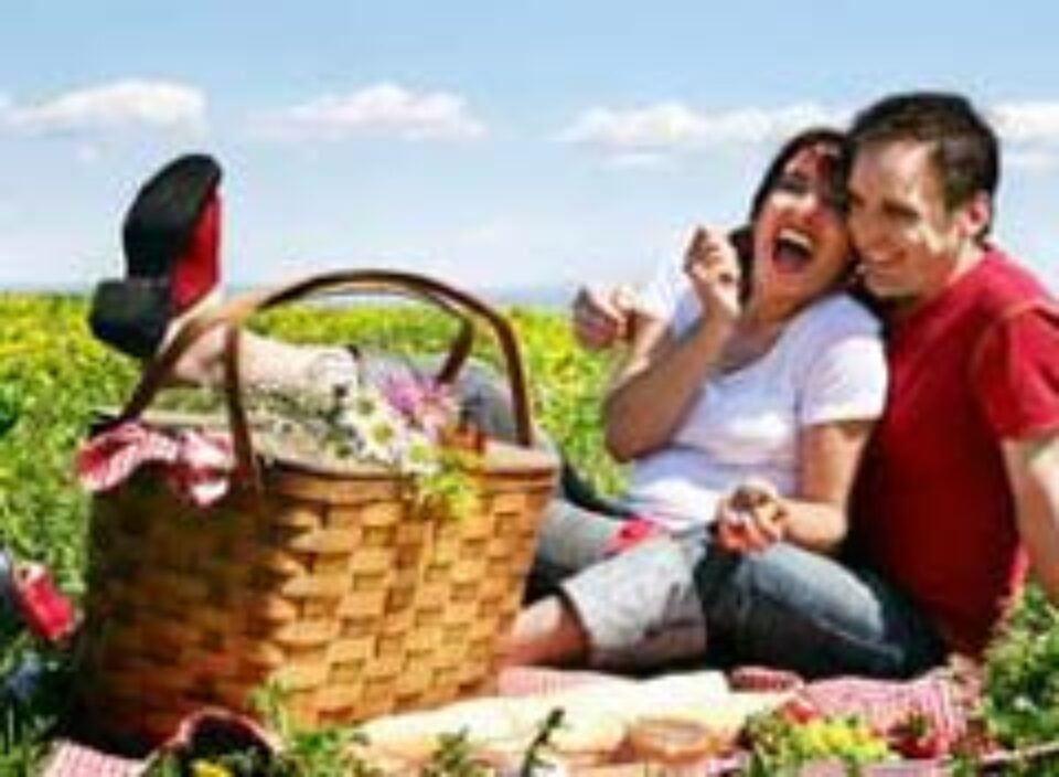 Primăvara, anotimpul picnicurilor Primăvara, anotimpul picnicurilor