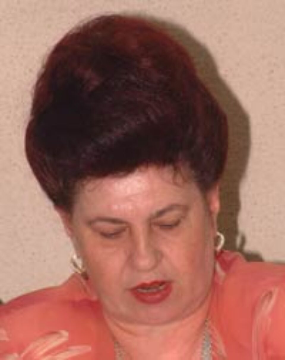 Lipsa unor norme emise de Guvern împiedică realizarea mai multor proiecte în județ