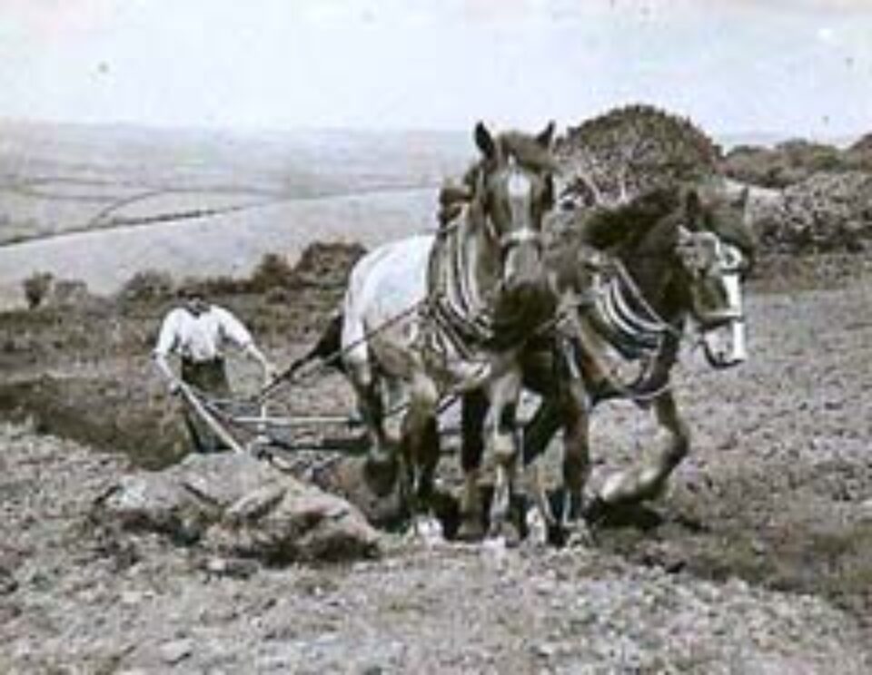 Din presa de altadata Din presa de altadata