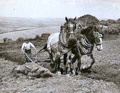 Din presa de altadata