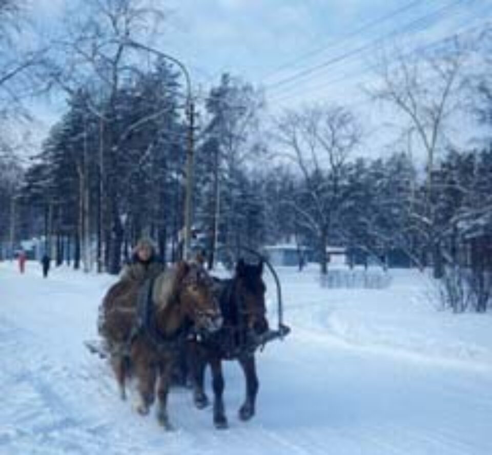 Din presa de altadata Din presa de altadata