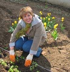 Angela Zarojanu a plantat ieri flori în fața Primăriei Suceava