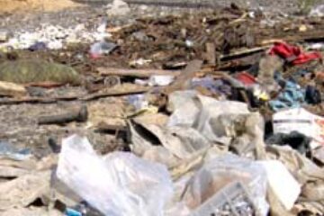 Primăria Sadova a primit ultimatum pentru închiderea gropii de gunoi neautorizate